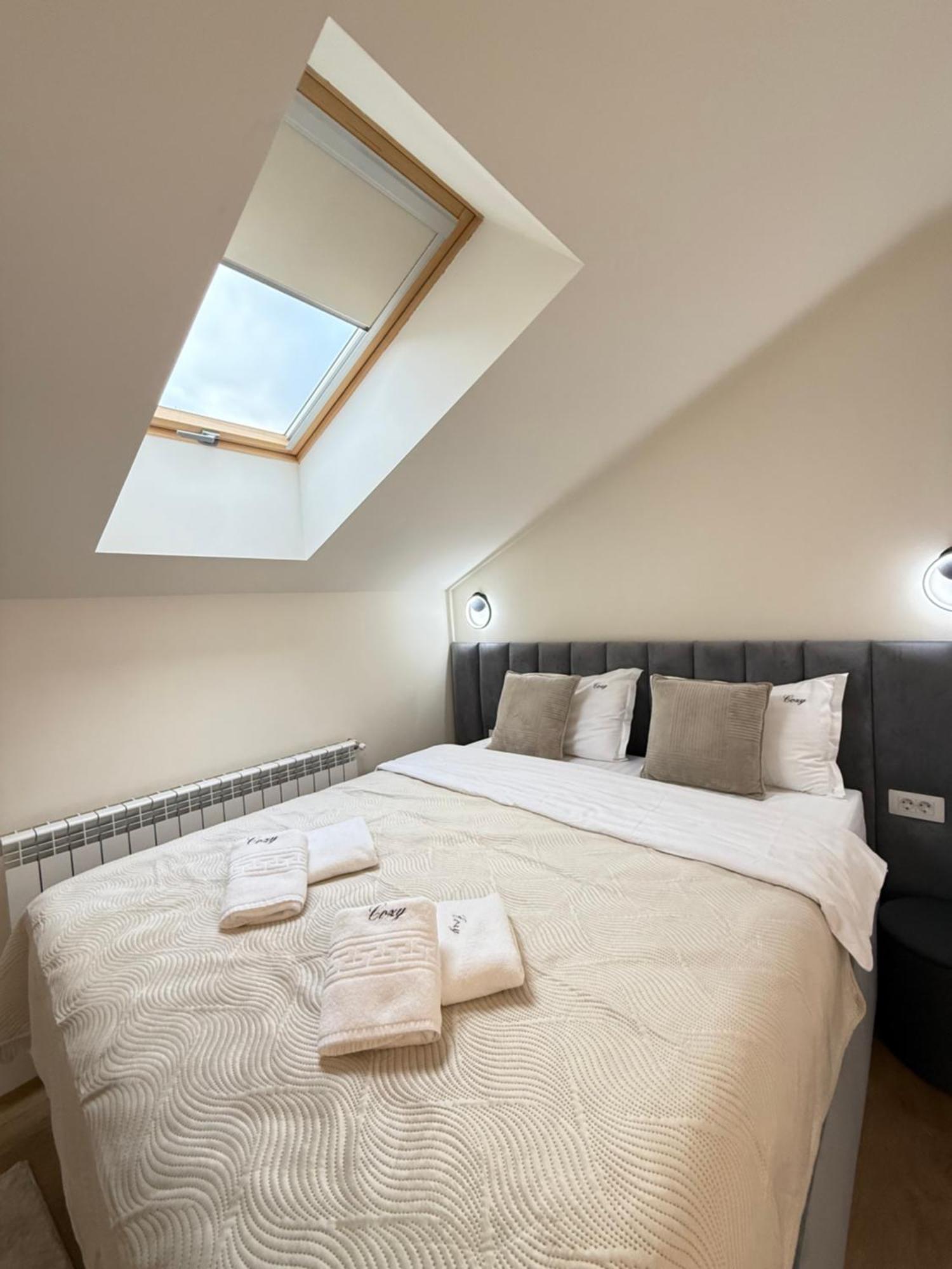 Cozy - Premium And Apartment Brasov
